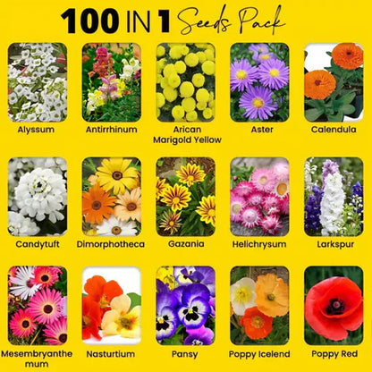 Buy Varieties of Flower Seeds (Pack of 100) And Get Plant Growth Supplement Free